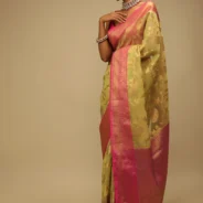 celery_green_saree_in_organza_silk_with_golden_brocade.webp