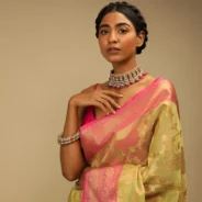celery_green_saree_in_organza_silk_with_golden_brocade_woven2.webp