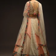 multi_colored_lehenga_choli3.webp