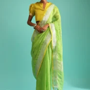 parrot-green-saree-in-linen-with-silver-brocade-border-and-striped-pallu-along-with-yellow-unstitched-blouse.webp