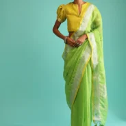 parrot-green-saree-in-linen-with-silver-brocade-border-and-striped-pallu-along-with-yellow-unstitched-blouse1.webp